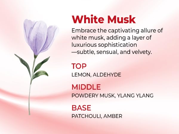 KUNDAL Caffeine Shampoo White Musk 500ml