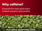 KUNDAL Caffeine Shampoo White Musk 500ml
