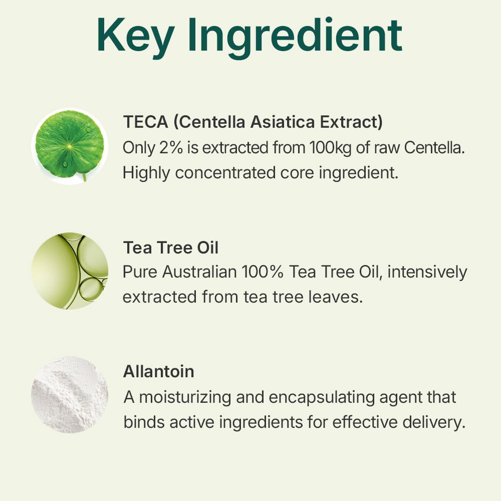 Centellian24 – Madeca Powder Tea Tree AC, 6g