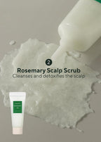 AROMATICA Rosemary Scalp Scaling Trial Kit With Mini Wooden Hair Brush Set