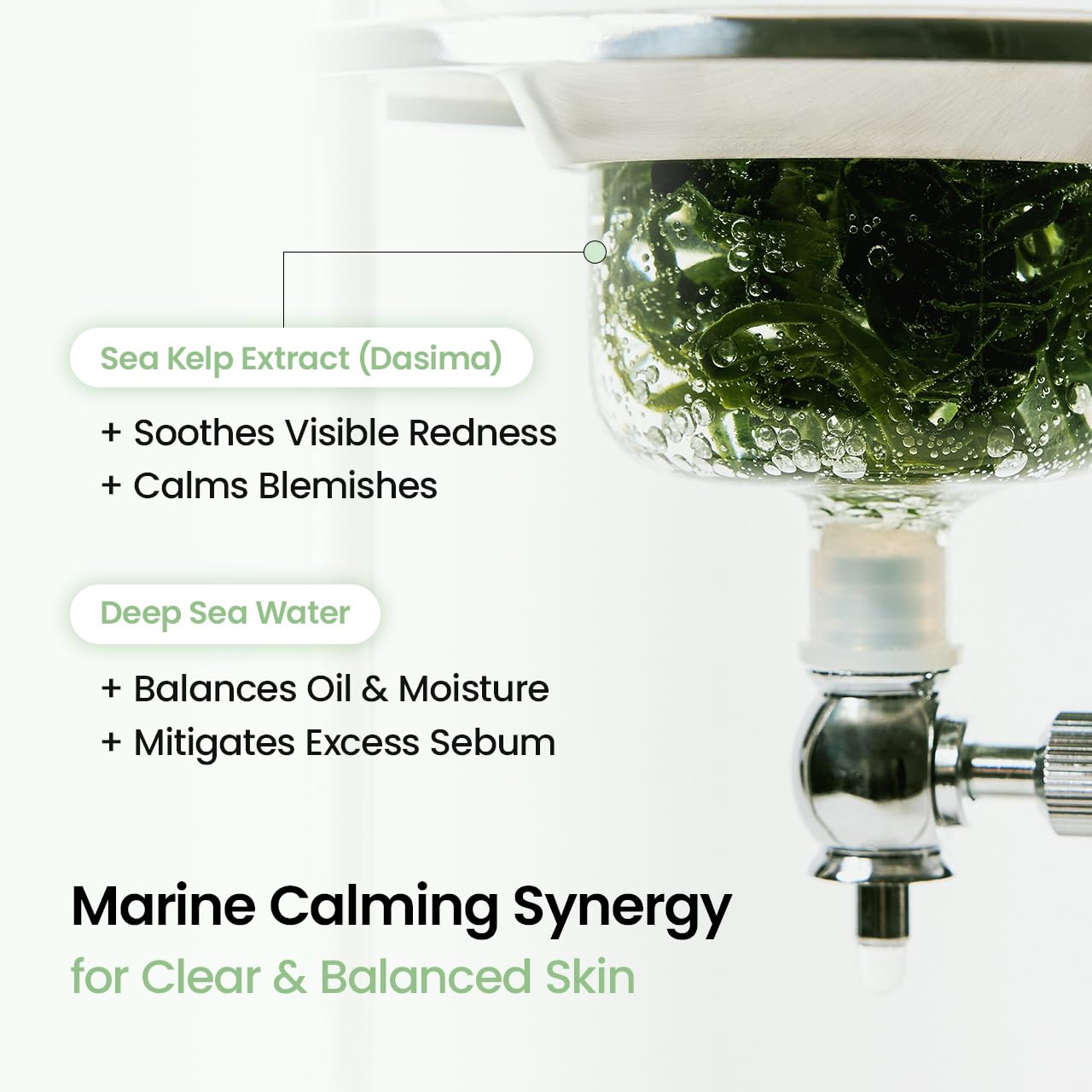 BIODANCE Refreshing Sea Kelp Real Deep Mask 1 pc