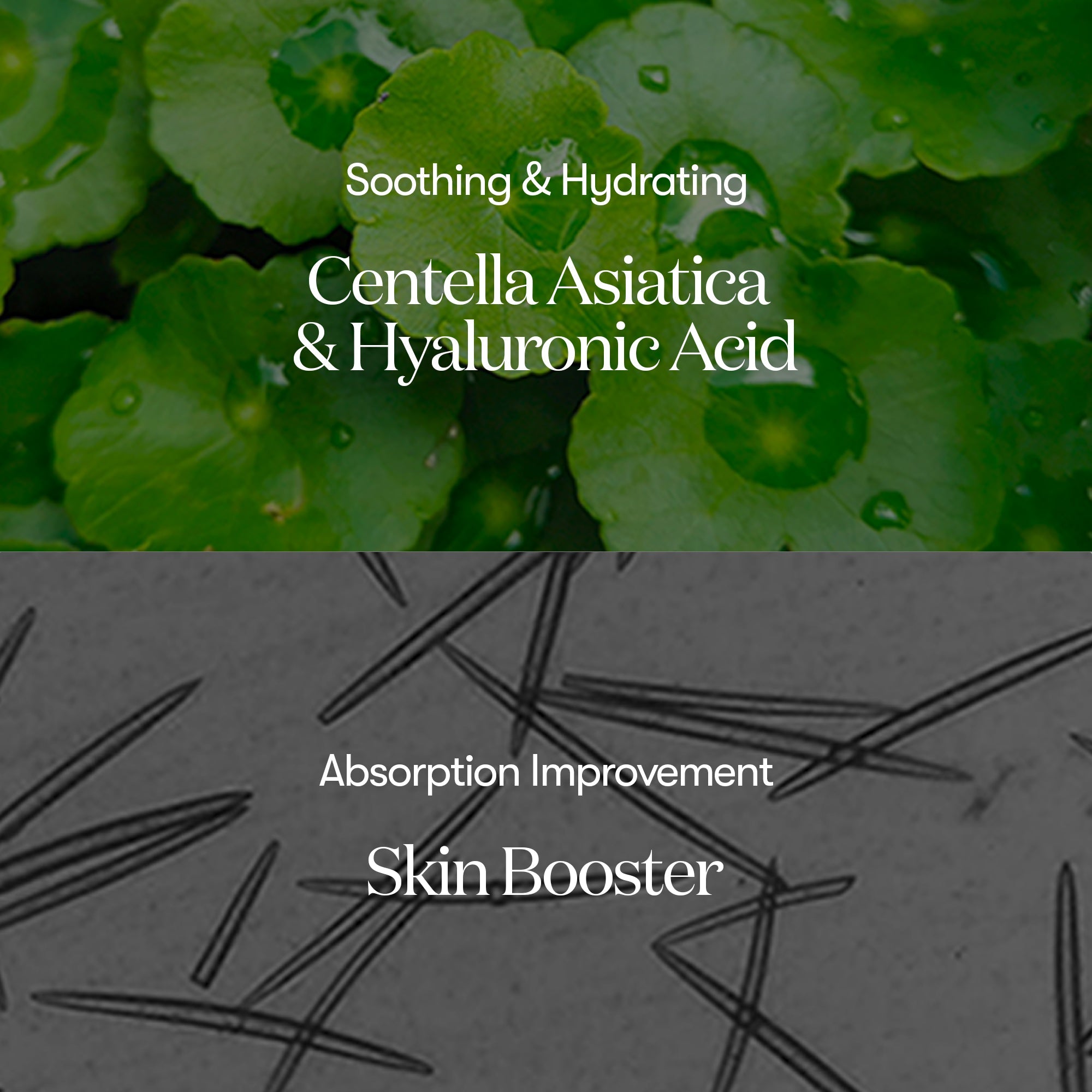 VT Reedle Shot 100 – Intensive Skin Renewal Serum