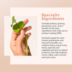 Erborian Centella Cleansing Balm 80gr
