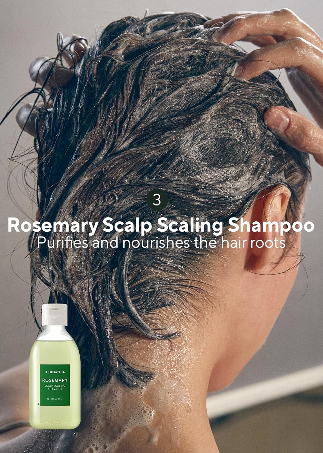 AROMATICA Rosemary Scalp Scaling Trial Kit With Mini Wooden Hair Brush Set