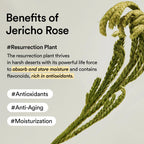 Abib Collagen Eye Patch Jericho Rose Jelly - 60 Patches